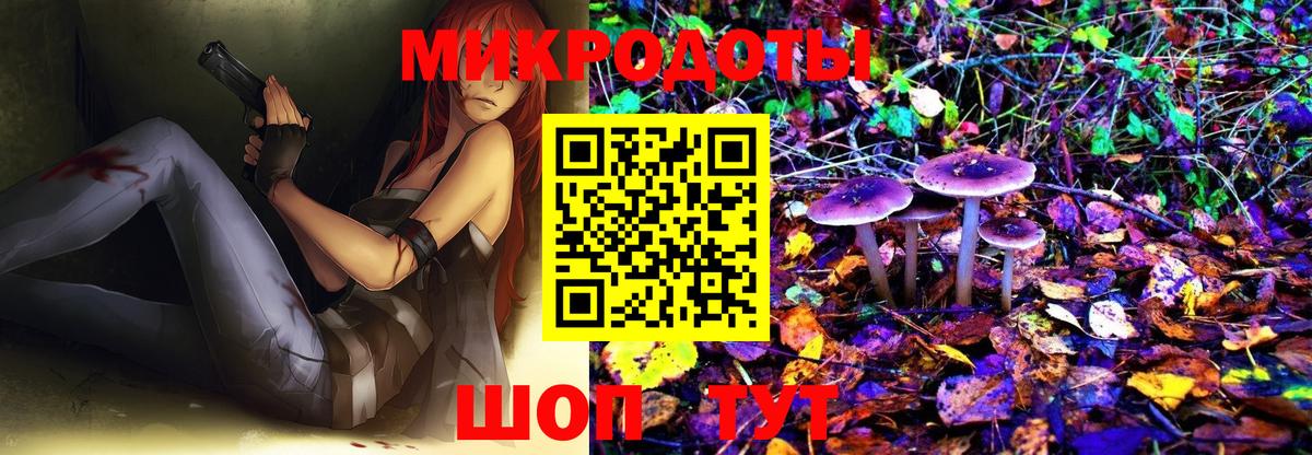 Галлюциногенные грибы MAGIC MUSHROOMS Костомукша